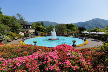 Admirez la nature et les sanctuaires au bord du lac à Hakone image