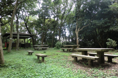 Hayama Sangaoka Ryokuchi-Park