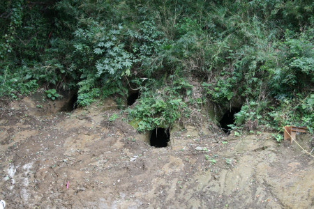 이쿠타 쵸쟈아나 매장 동굴 군락 image