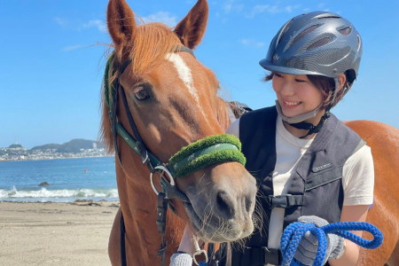 三浦海岸的騎馬農場