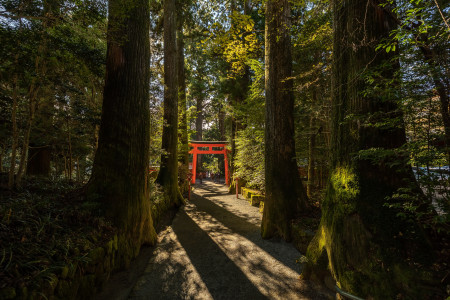 Hakone-Schrein, Kuzuryu-Schrein&quot;