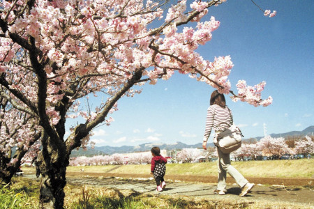 春木径·幸福步道 image