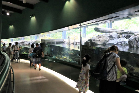 Museo de ciencias Fureai de Sagamigawa