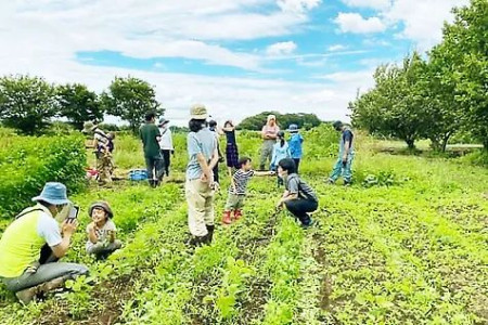 kiiroiouchi farm image