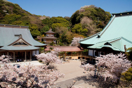Le temple Komyo-ji