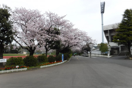 Parque Mitsuzawa image
