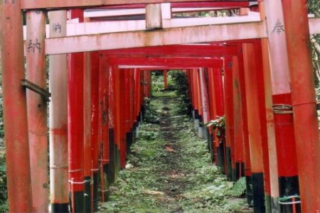 Hakusekiinari Shrine