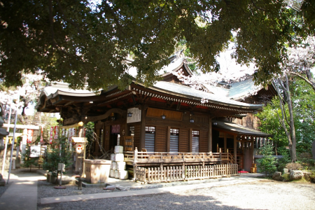 座间神社 image