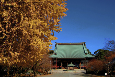 Seikouji Temple (Yugyoji Temple), head temple of the Jishu sect