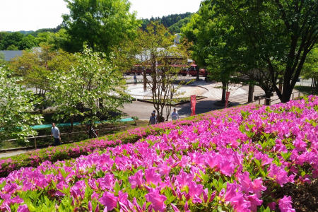 아이카와 공원 image