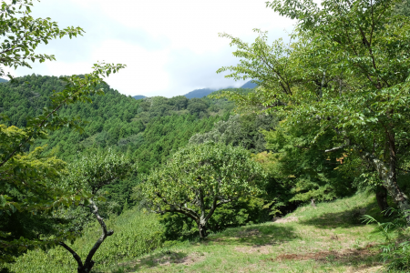 Mont Hinatayama