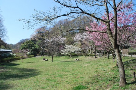 鎌倉中央公園 image