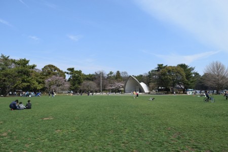 平塚市綜合公園 image