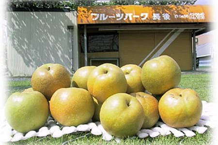 Parque de la fruta de Chogo image