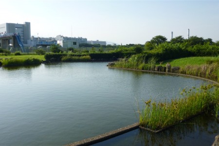 河畔友誼公園（開運富士山景點：富士上游）