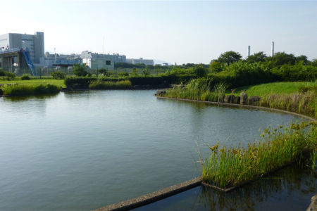 川とのふれあい公園（開運富士山スポット：逆さ富士） image