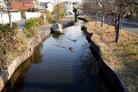 Lối đi bộ lát ván gỗ Egawa Seseragi image