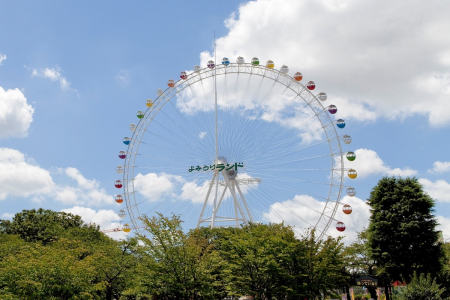 Get in Touch with Your Inner Child in Kawasaki