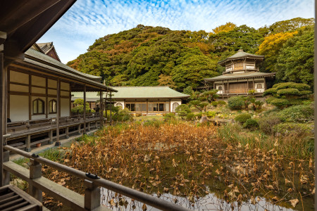 Templo Komyo-ji image
