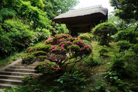 Templo Engakuji Kigenin image
