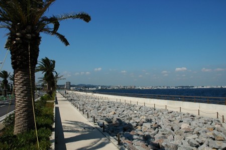 Malecón de protección contra marejadas ciclónicas costeras de Umabori image