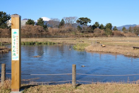 大井町的自然：耕作体验和富士山的景色 image