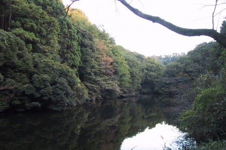 Sanzagaike Forest Park image