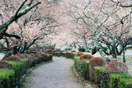Tsujimura Botanical Park image