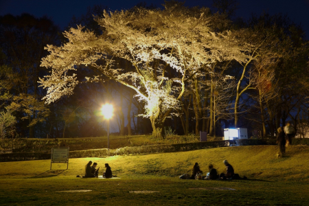 Le parc Bosai-no-Oka (Parc de prévention des catastrophes naturelles) image