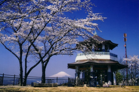 弘法山公園 image