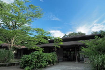 요코하마 자연관찰의 숲 image
