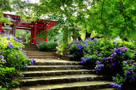 Ein erholsamer Tag in den Wäldern und Tempeln von Minamiashigara image