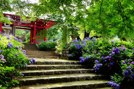 Temple Daiyūzan Saijō-ji