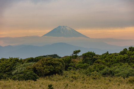 Parque Jogashima image