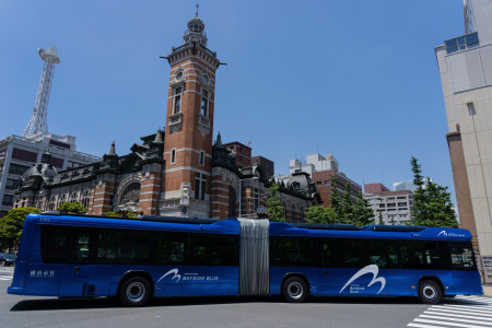 베이사이드 블루 버스 image