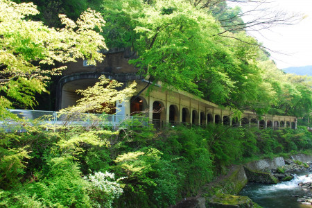 Le chemin historique d&#039;Hakone