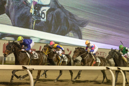 สนามแข่งม้าคาวาสะกิ (ดูการแข่งม้า) image