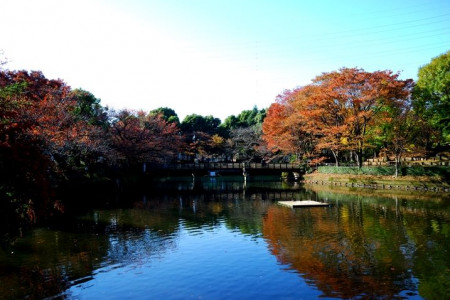 가누마 공원 image