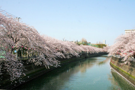 Ooka River Promenade