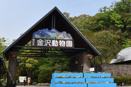 金泽自然公园 image