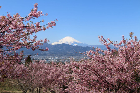 大井夢之里