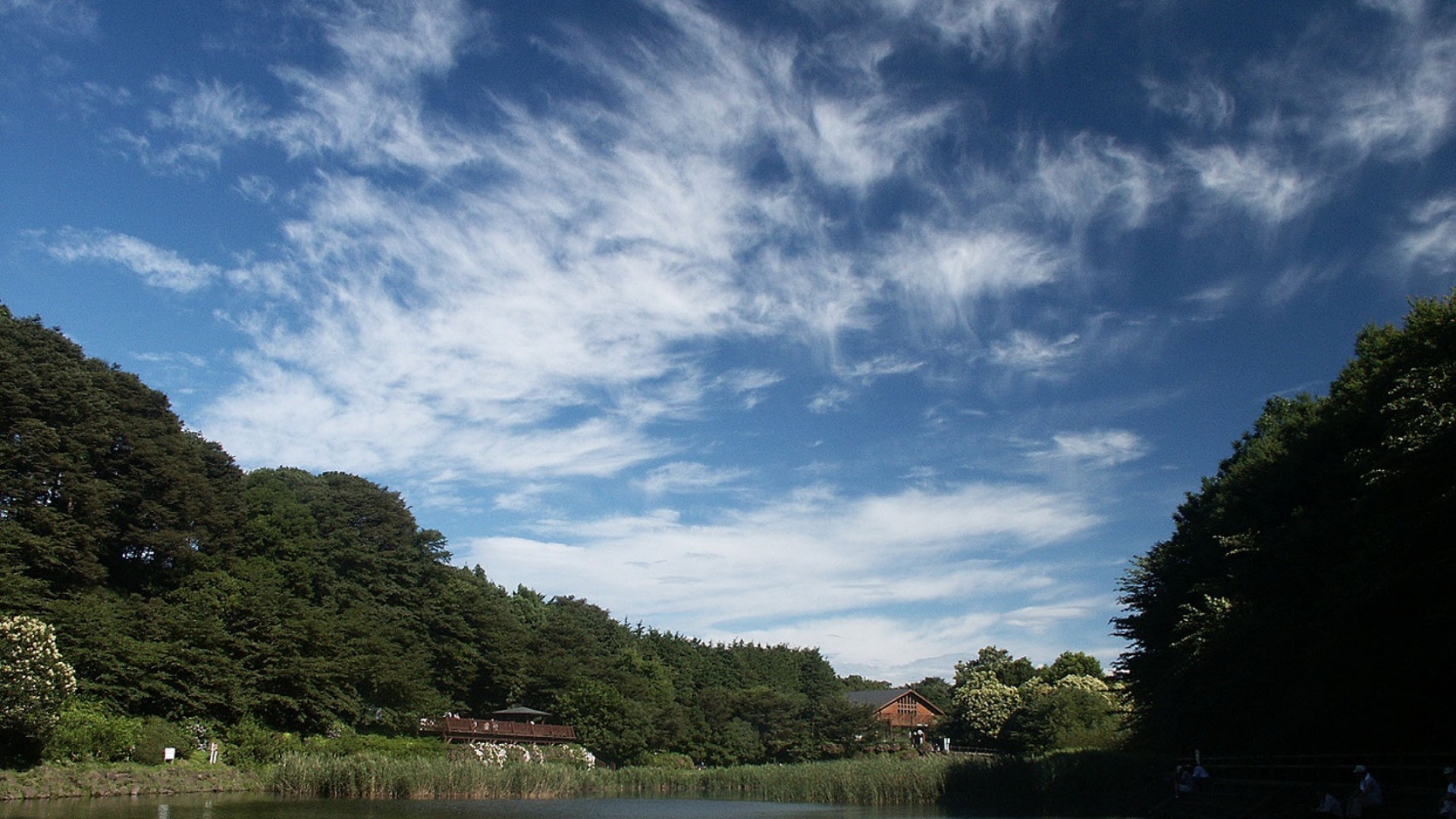 Bosque de Izumi