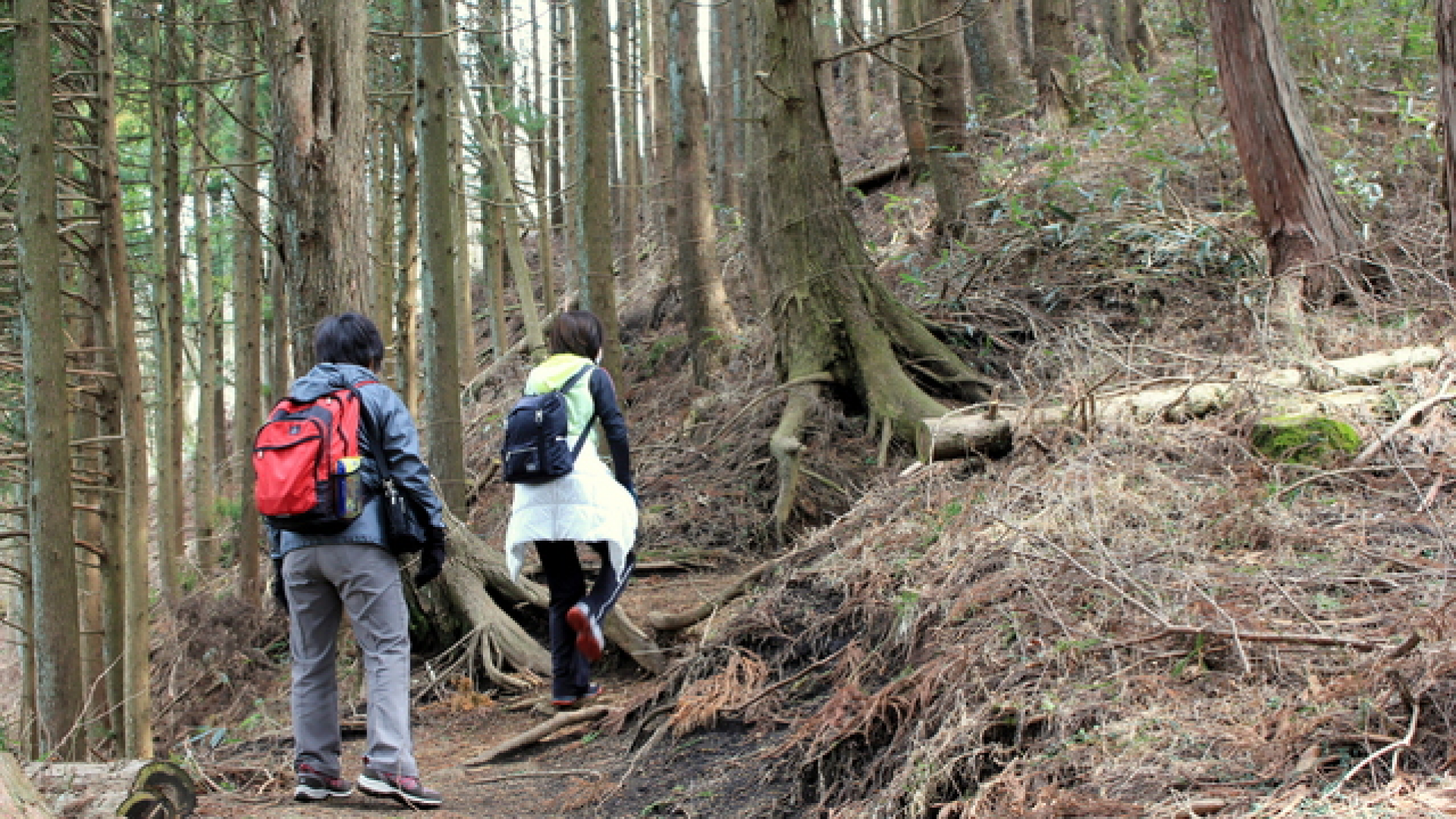Yaguradake Hiking Course