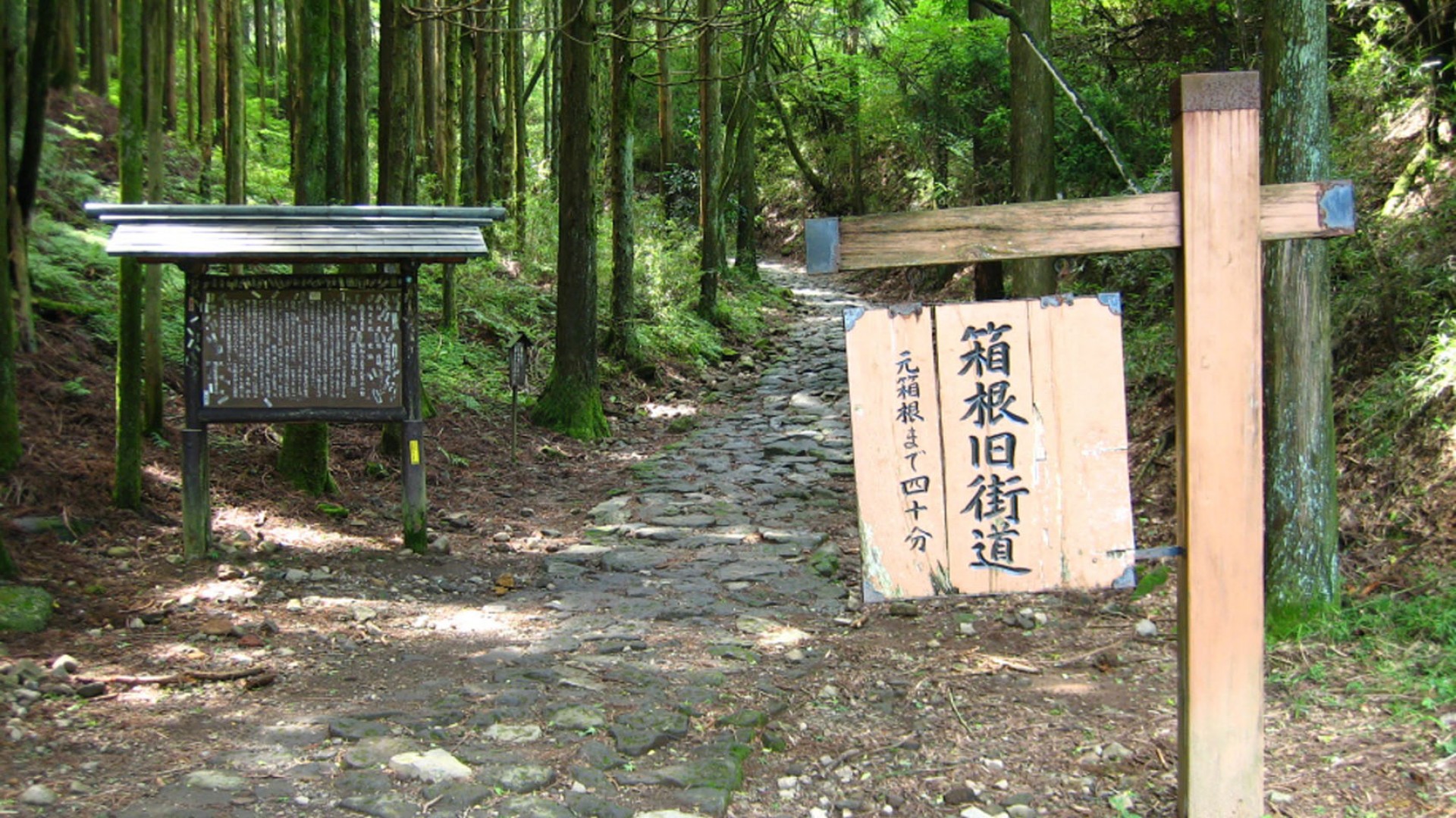 La vieille autoroute d'Hakone