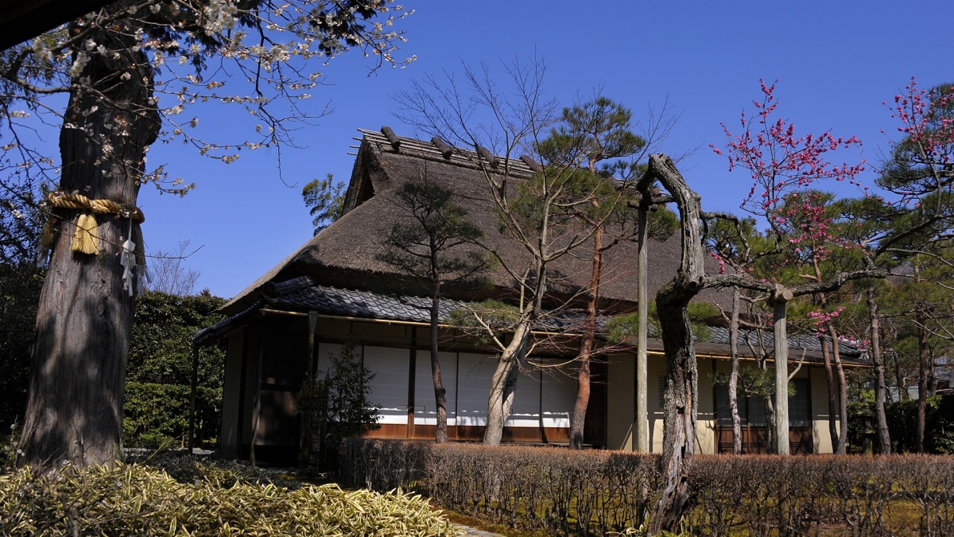 一条惠观山庄