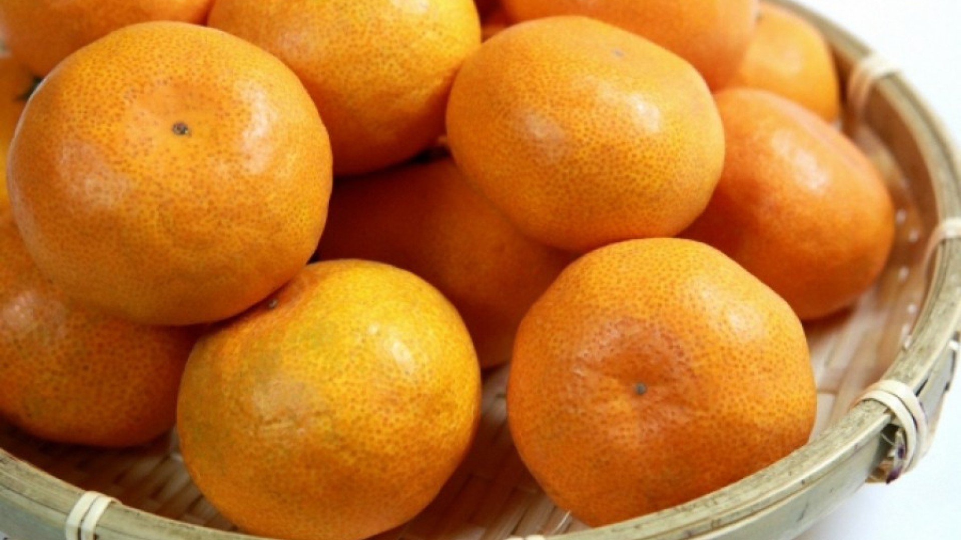 Tangerine Picking at Hijikata-kankitsuen