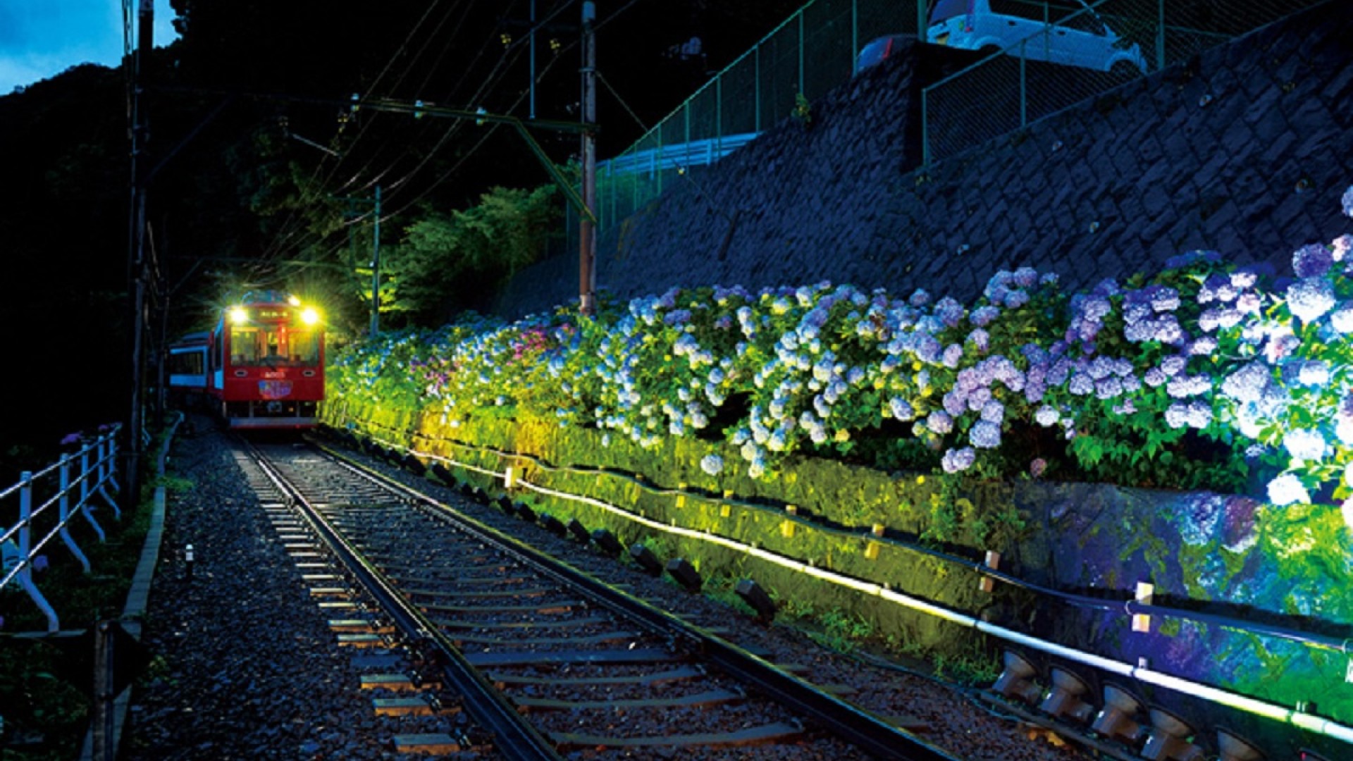 Le Train des hortensias