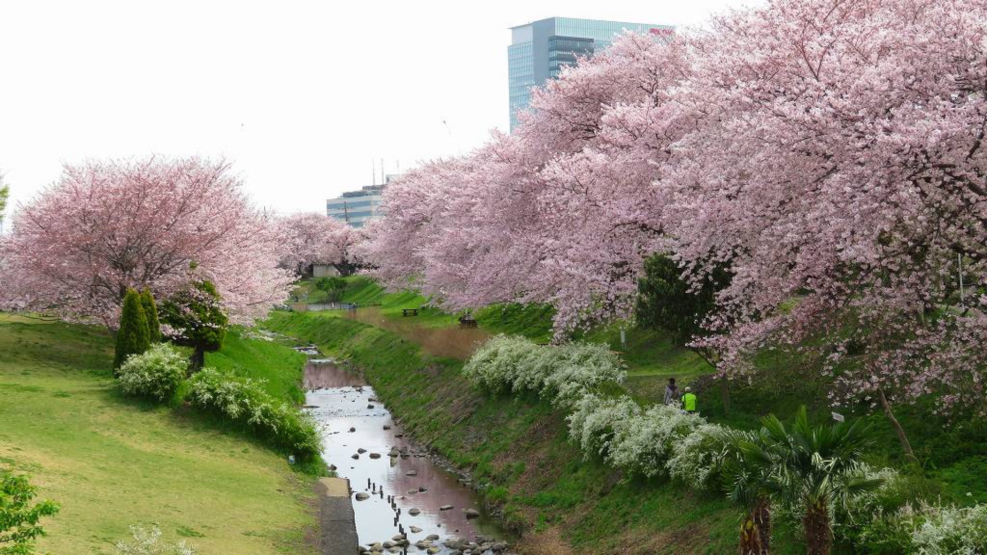 Der Sagami Sansen Park der Präfektur Kanagawa