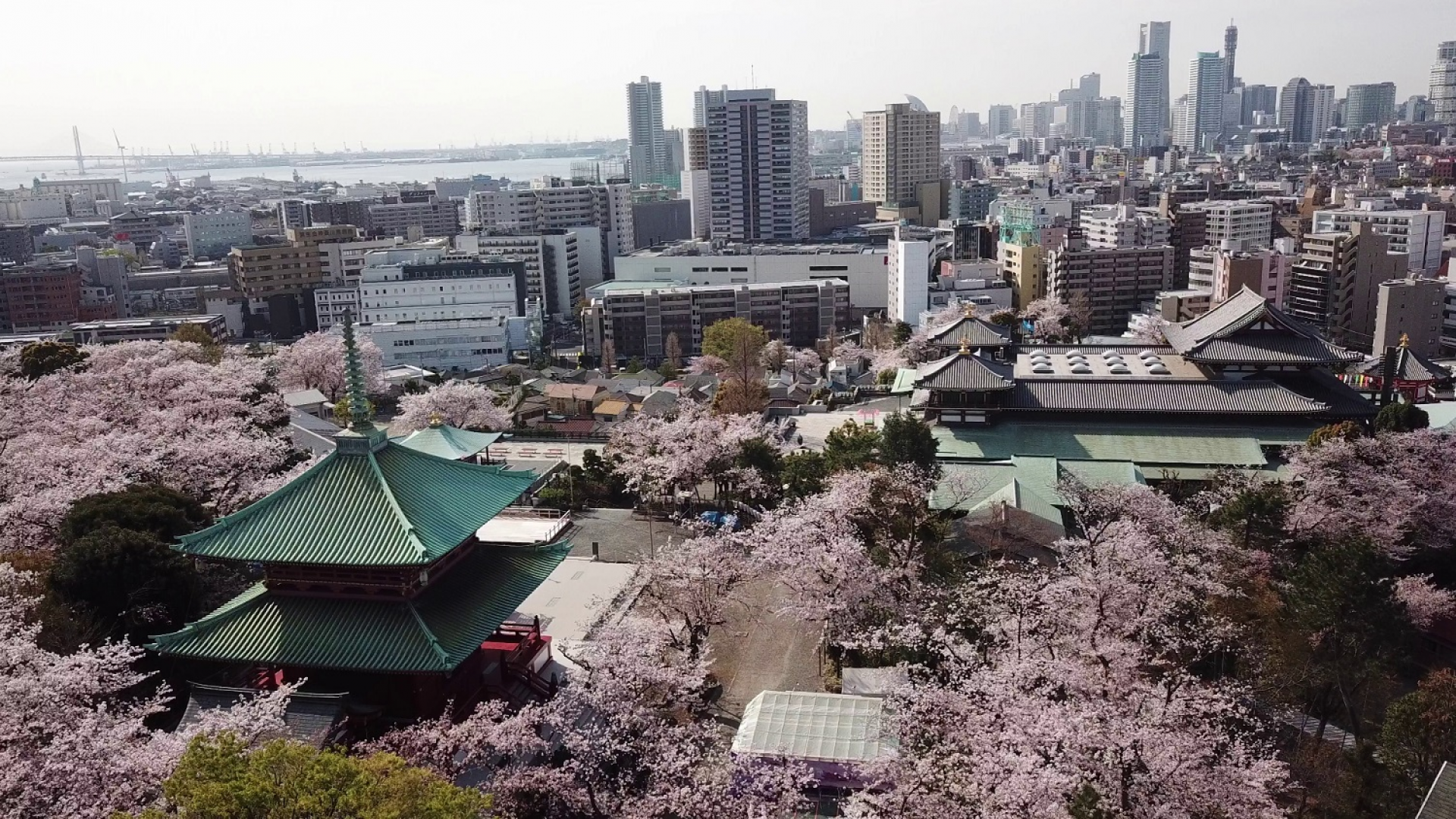 Le temple Kodosan Hon-Butsuden 