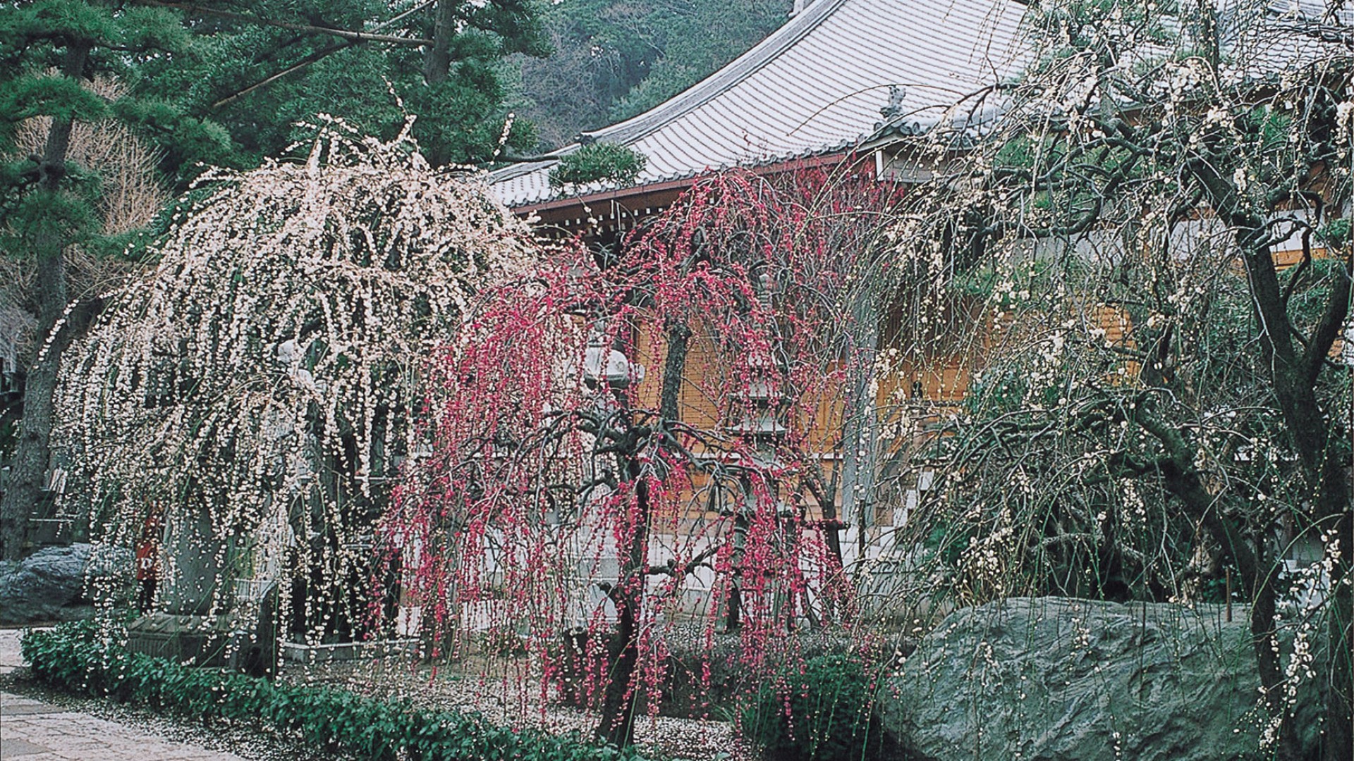 Le temple Joryu-ji